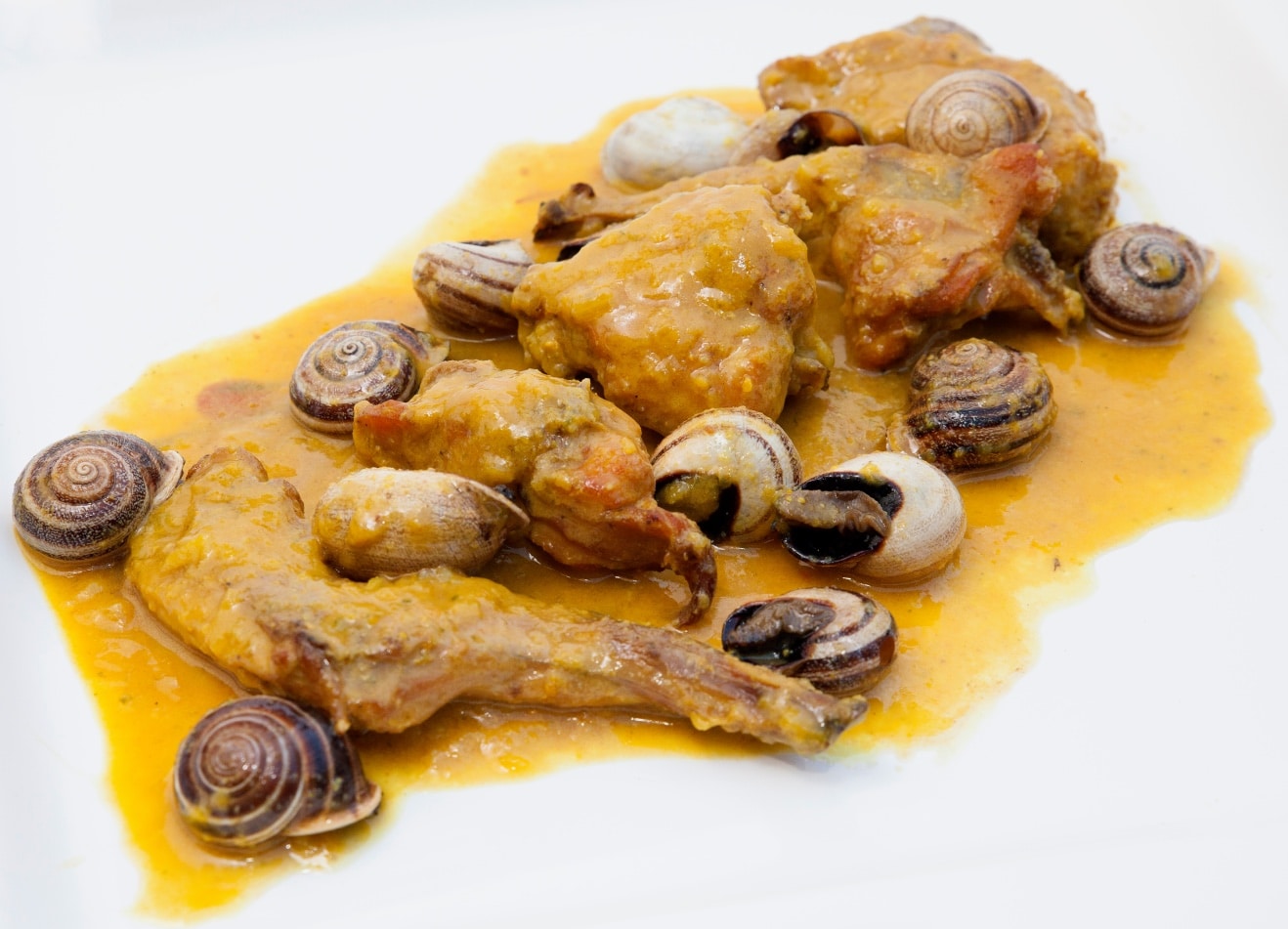 Conejo en salsa con caracoles 1 copia