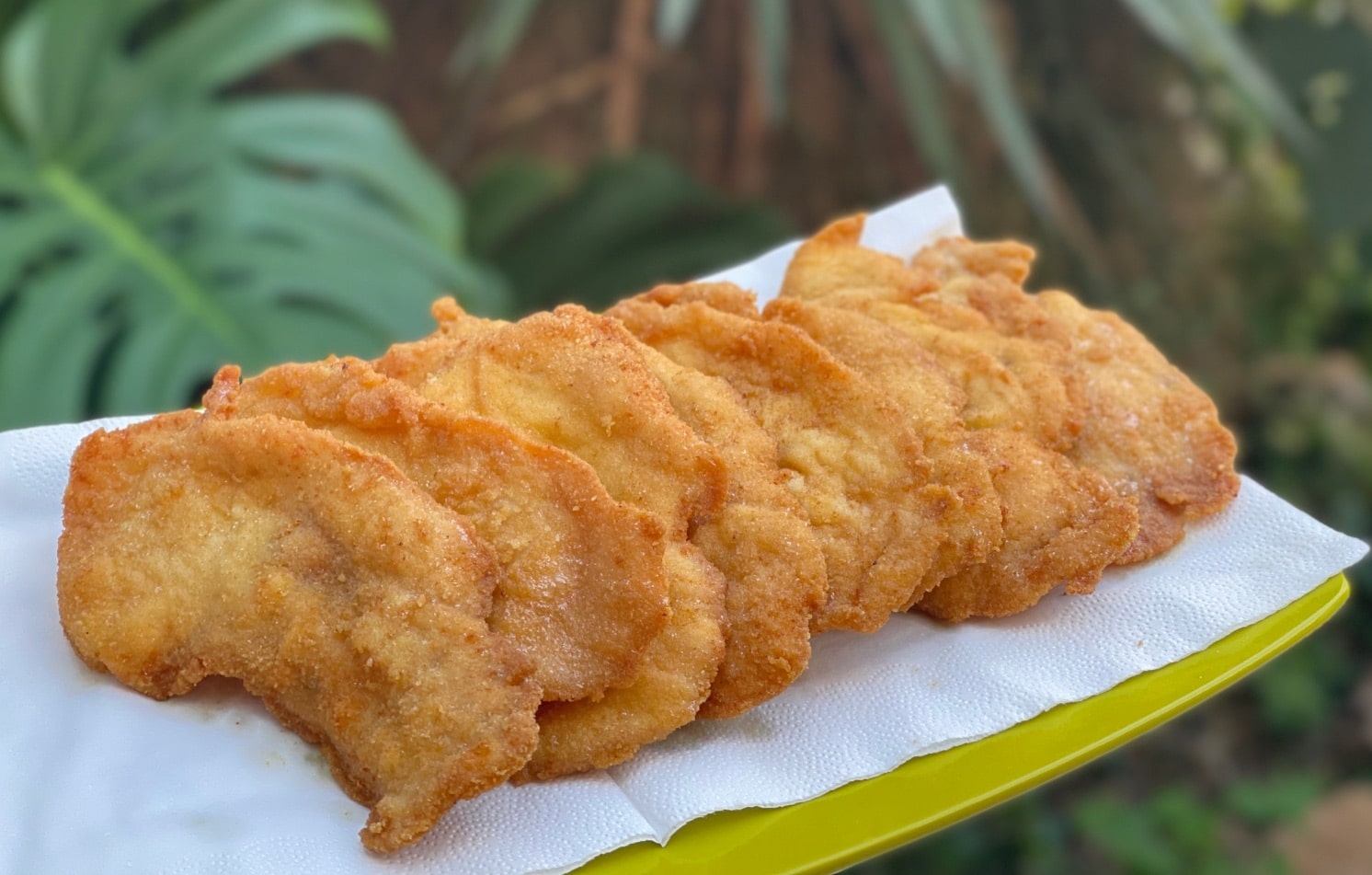 Pechuga milanesa 10 copia