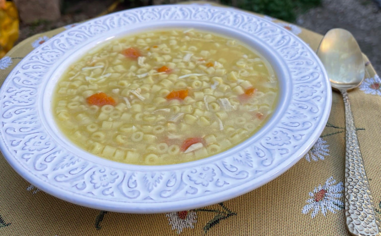 Sopa de pollo 11