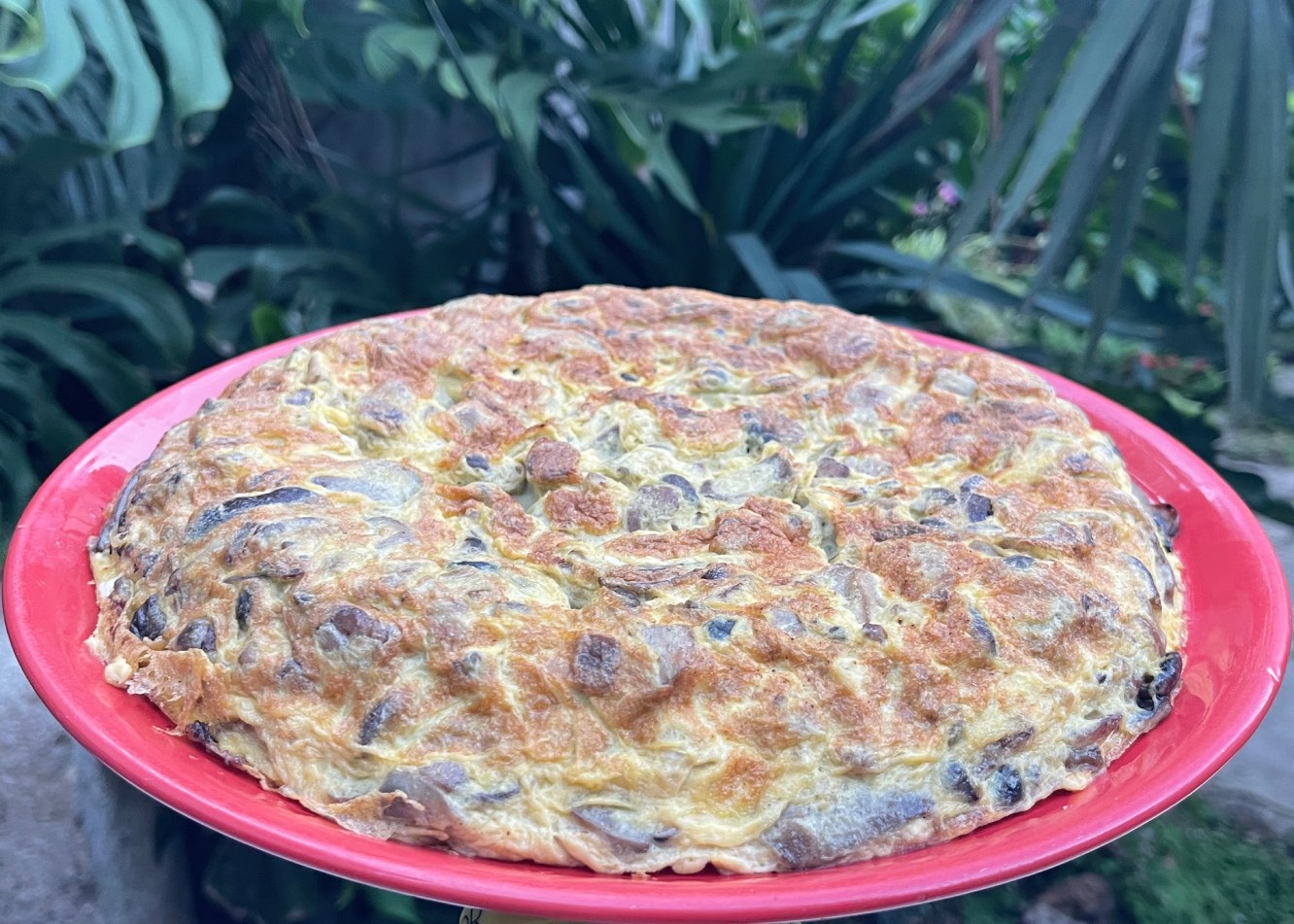 Tortilla setas variadas 21 copia