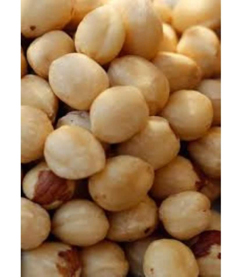 avellana deshidratada 100gr puigdellivol 20un 1 copia
