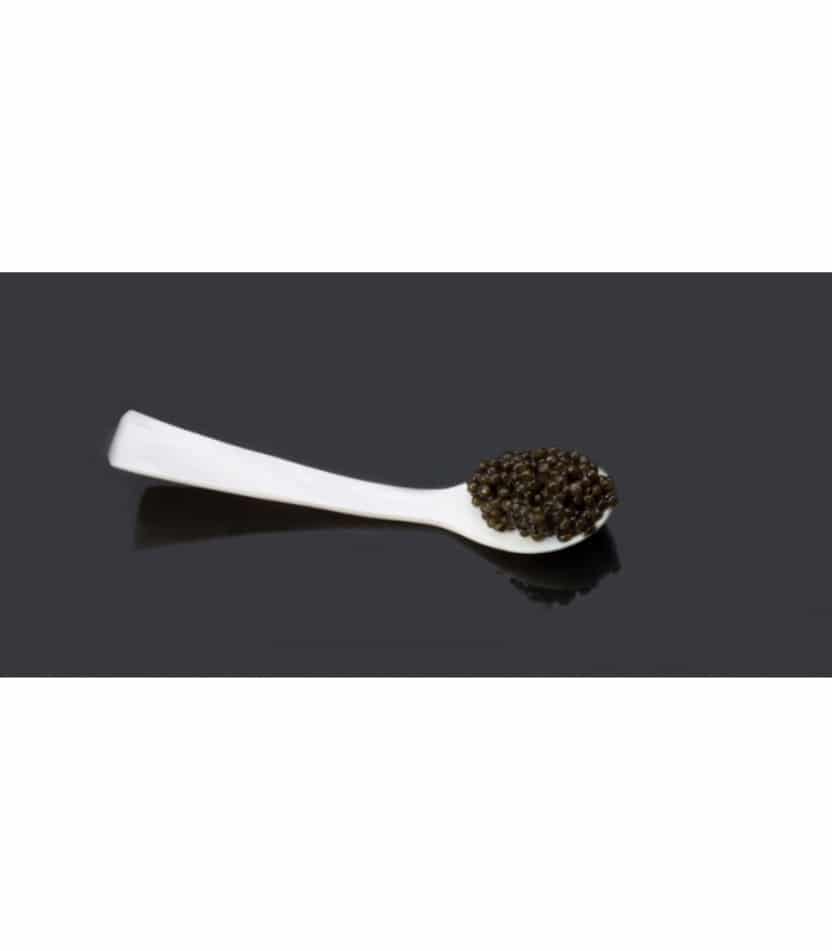 caviar beluga 30gr marine food 1un 1 copia