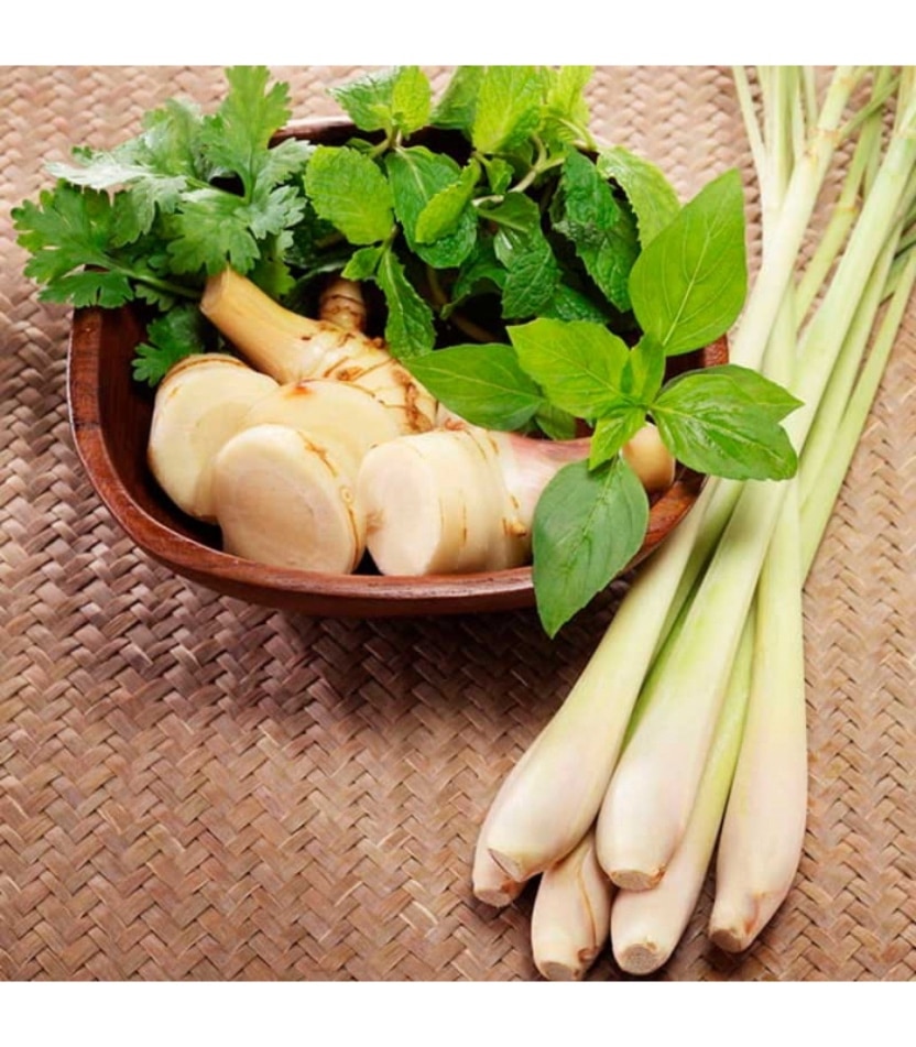 limon lemongrass dressing 250ml desiam 12un 1 copia