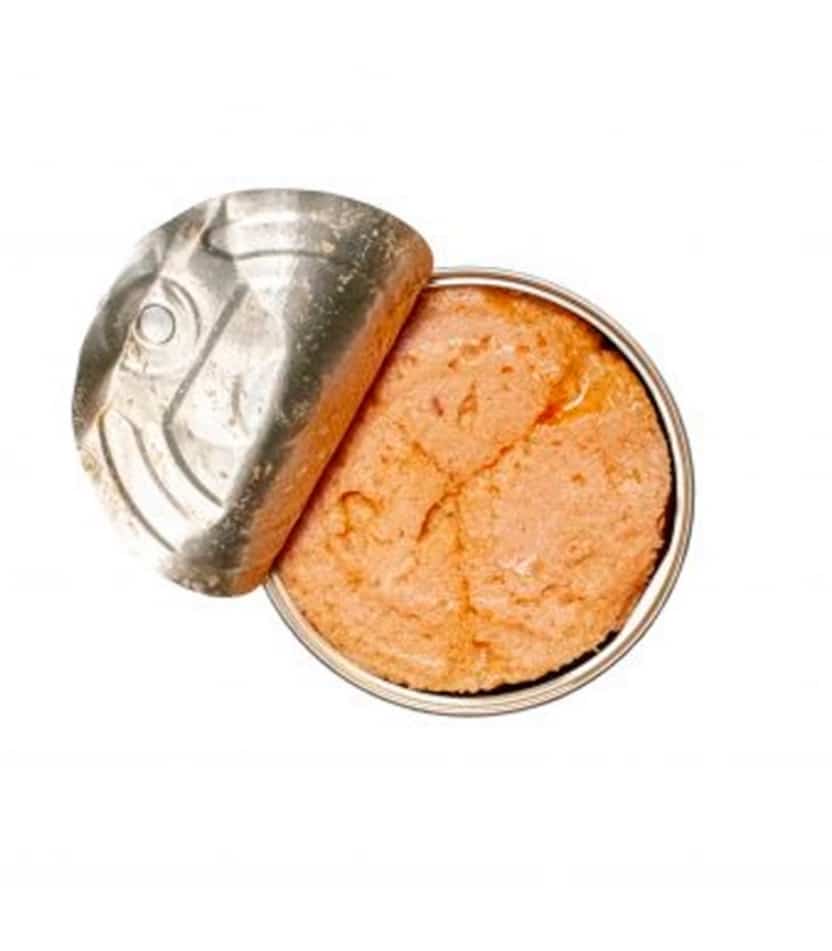 Paté de Caballa 75gr. Jose Gourmet - Imagen 2