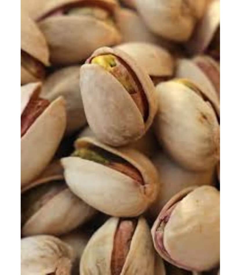 pistacho deshidratado 100gr puigdellivol 20un copia