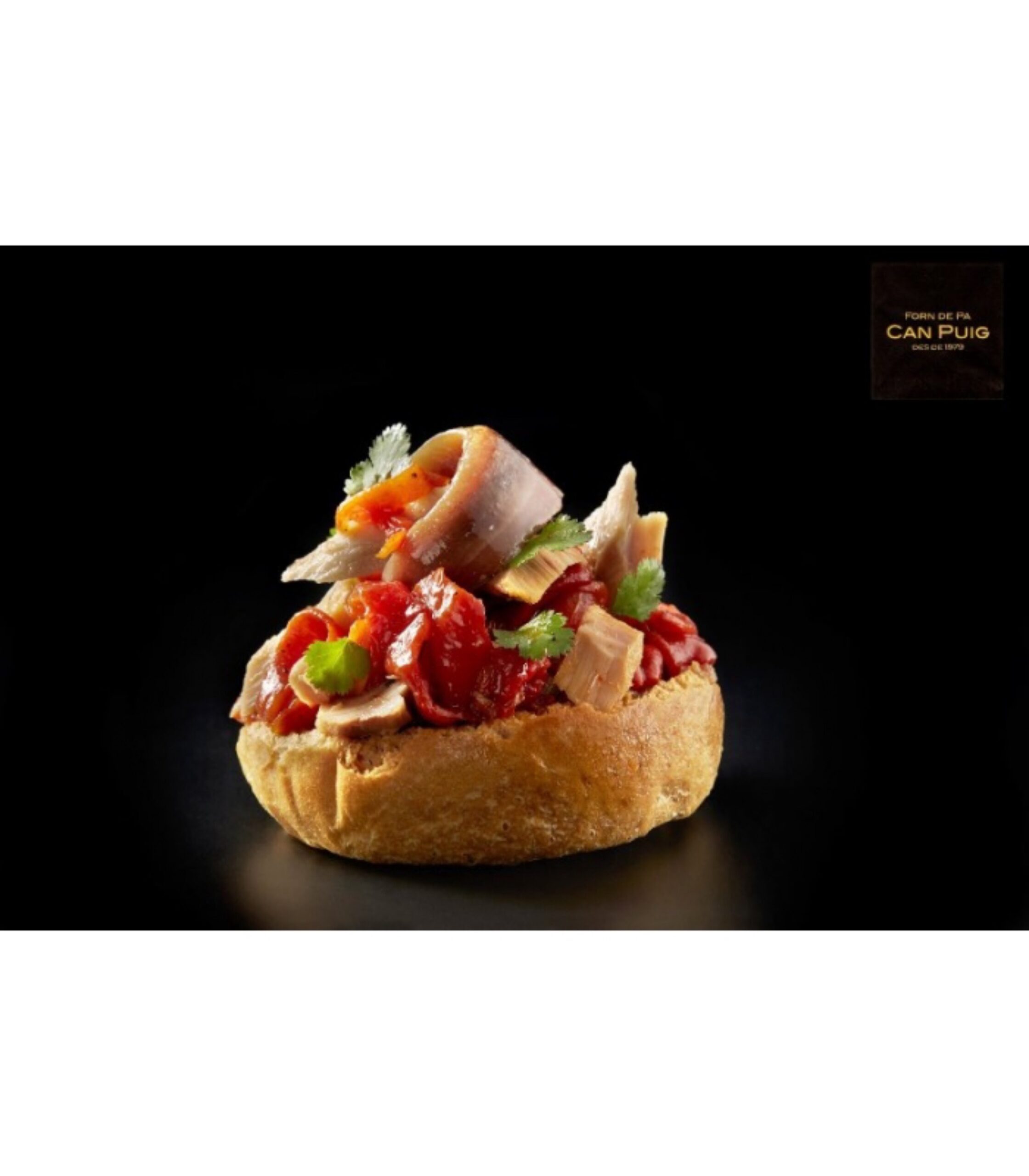 tostaditas naturales con pasas 150gr can puig 25un 1 copia scaled