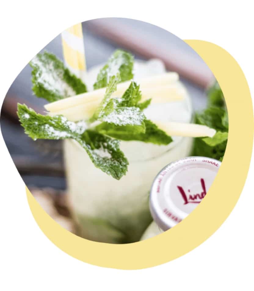 zumo linda limon con flor de hibiscus bio 250ml linda 24un.jpg
