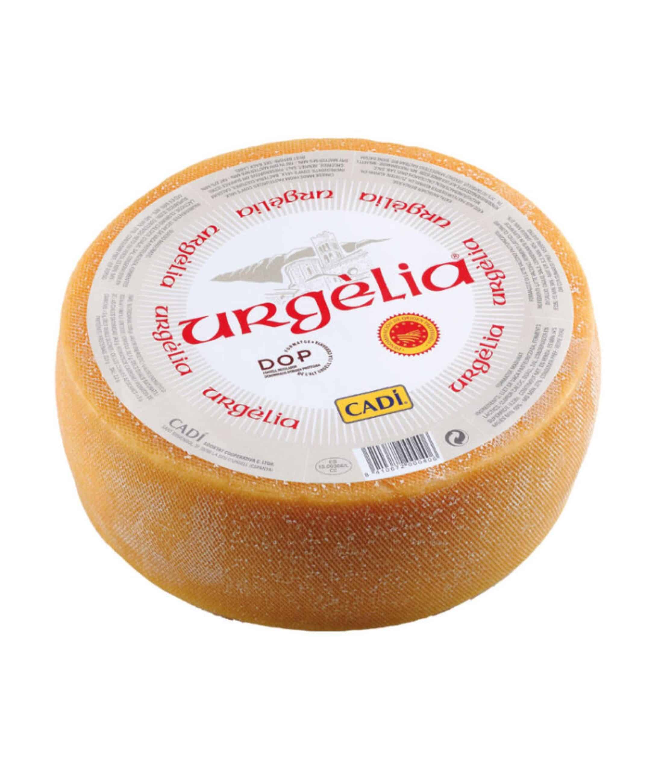 Urgelia queso DOP 25Kg copia scaled