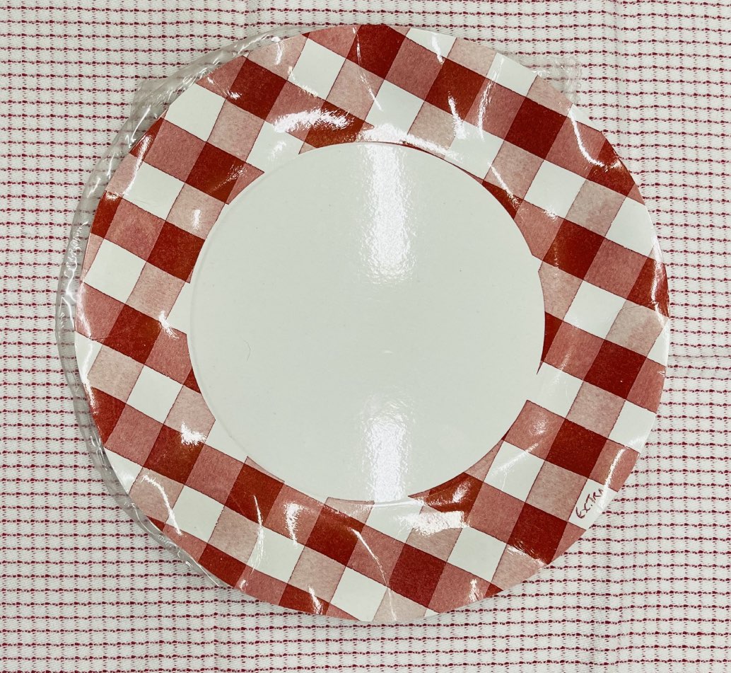 Plato carton Vichy 1